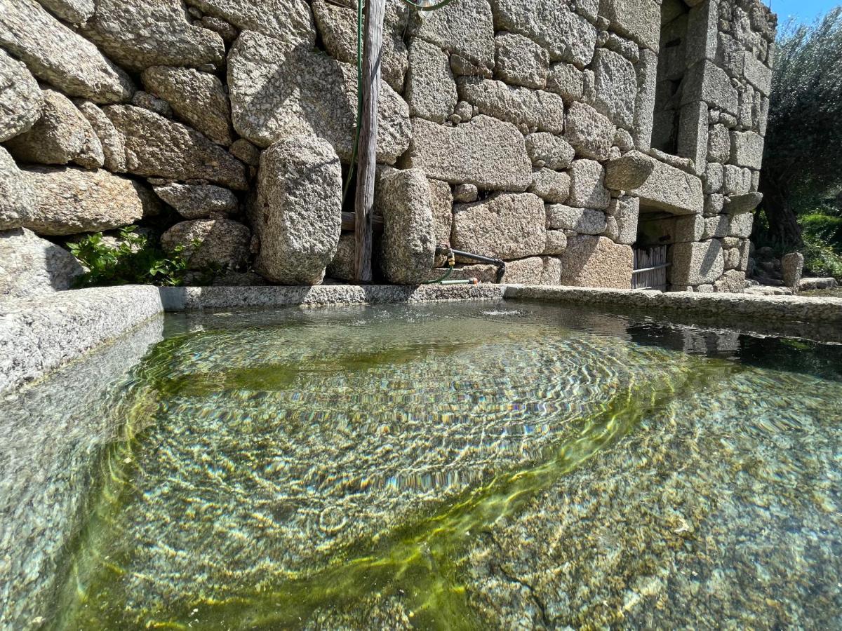 Casa Botica - Geres Country House Terras de Bouro Exterior photo